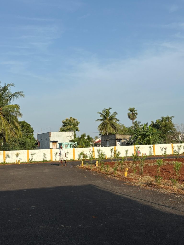 Red Coral Avenue (1)