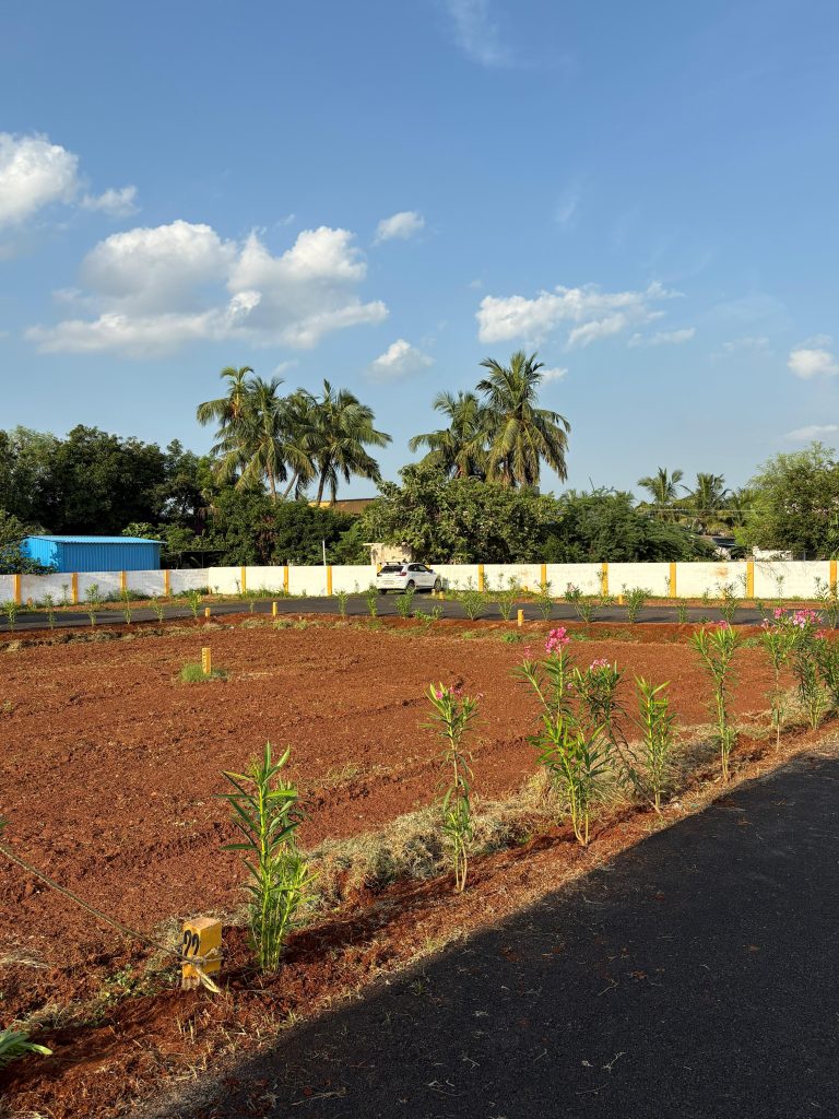 Red Coral Avenue (2)