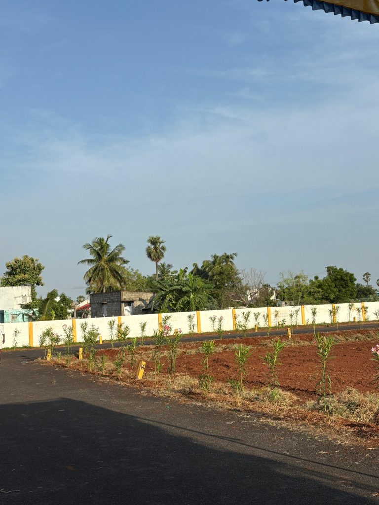 Red Coral Avenue (3)