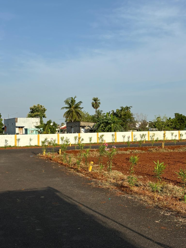 Red Coral Avenue (6)