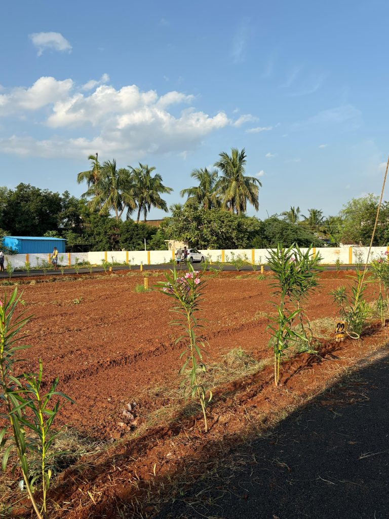 Red Coral Avenue (7)